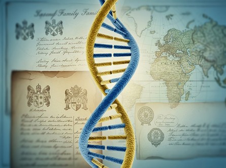 Uncovering What You’re Made Of: A Review of Family Tree DNA